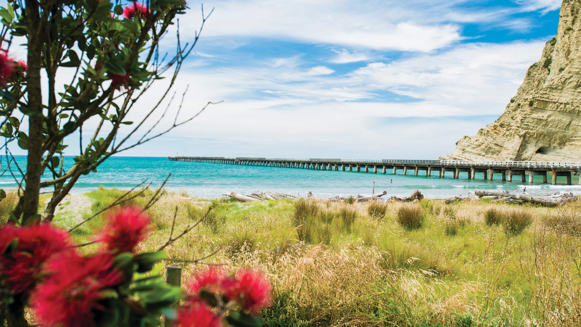 Tolaga Bay Wharf Tour with Lunch Experience Gisborne